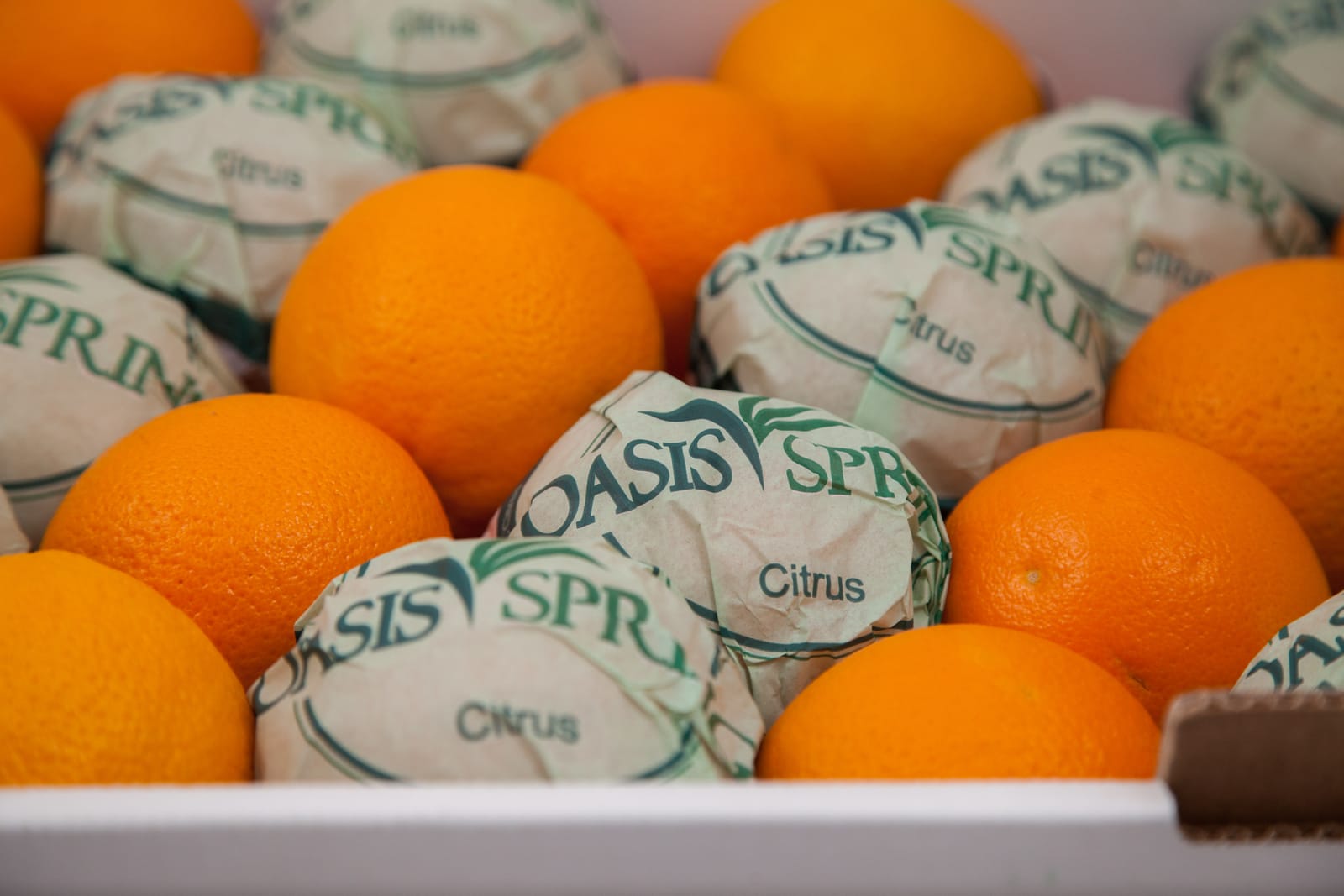 Oranges packed with Oasis Spring branded tissue wraps