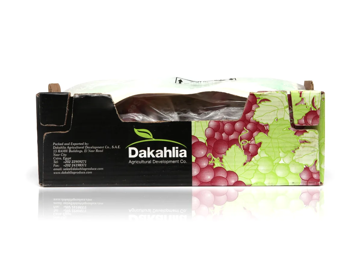 Dakahlia export carton