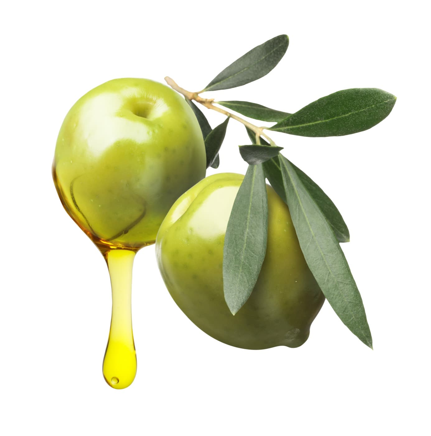 Egyptian Olive Oil