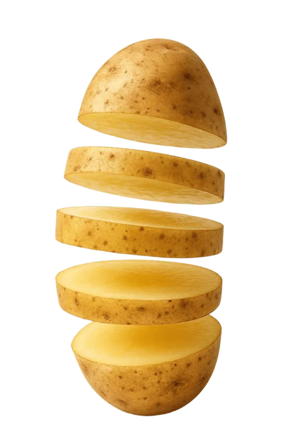A potato sliced into floating rounds